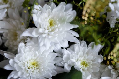 Sepetteki altın papatya buketinin yakın çekim fotoğrafı. Bahar ruh hali, makro lens