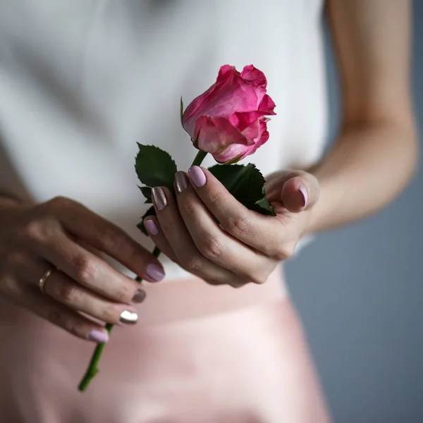 Női Kéz Tart Egy Pályázati Rózsa Romantikus Hangulat — Stock Fotó