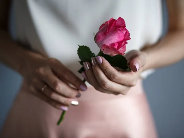 woman\'s hands hold a tender rose, romantic mood