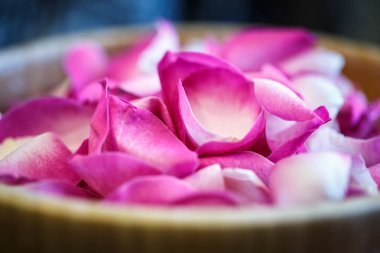 Yakın çekim makro fotoğraf ahşap bir kabın içinde gül yaprakları