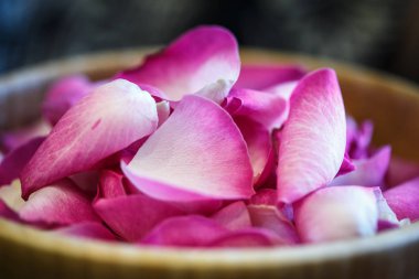 Yakın çekim makro fotoğraf ahşap bir kabın içinde gül yaprakları