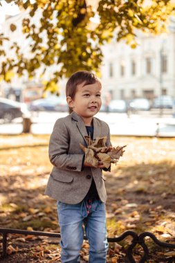 Havalı günlük kıyafetler giyen küçük bir çocuk parkta yürüyor. Sonbahar zamanı, sarı ağaçlar
