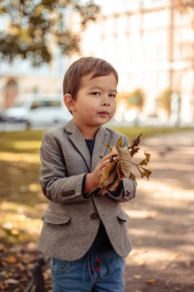 Ragazzino Che Indossa Eleganti Vestiti Casual Passeggiate Parco Autunno Alberi — Foto Stock