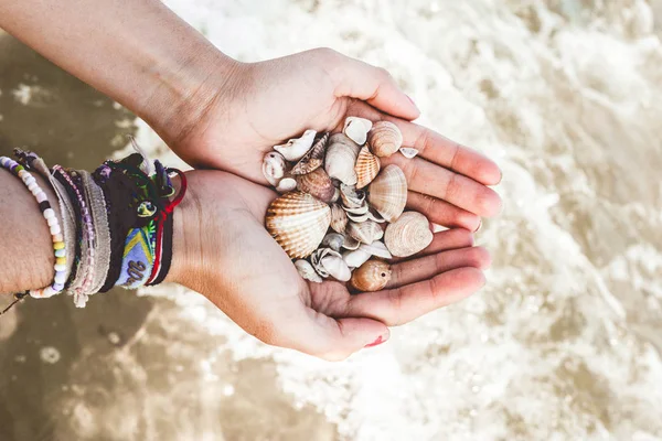 Hands with seashells on the sea a summer day
