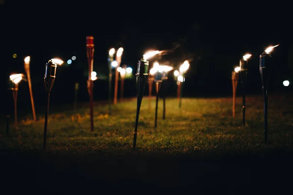 ไฟฉายในเวลากลางคืนในหญ้าที่มีเปลวไฟสีเหลืองและไฮไลท์ — ภาพถ่ายสต็อก