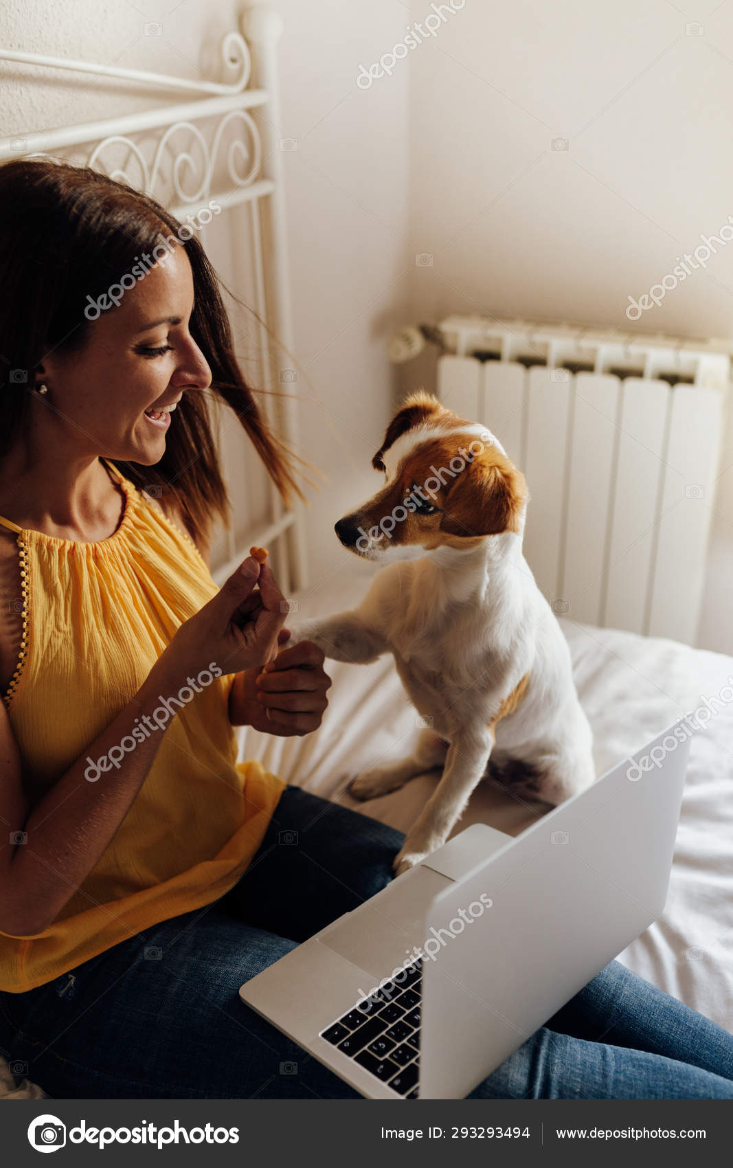 How Do You Train An Office Dog