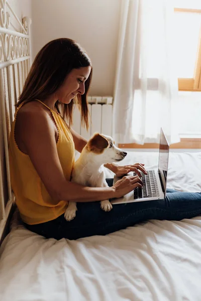 Vakker kvinne som sitter på sengen og skriver på laptopen med hunden sin Jack Russell terrier på beina ved solnedgang stockfoto