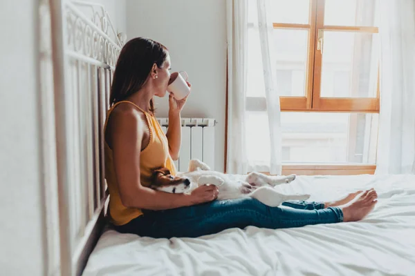 Femme assise sur le lit regardant par la fenêtre buvant une tasse de café avec son chien Jack Russell terrier couché dans ses jambes Images De Stock Libres De Droits