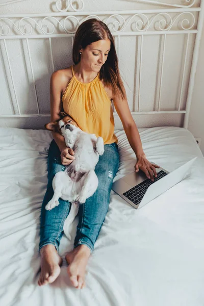 ผู้หญิงสวยนั่งบนเตียงพิมพ์บนแล็ปท็อปกับสุนัขของเธอ แจ็ค รัสเซล เทอเรียร์ บนขาของเธอตอนพระอาทิตย์ตก — ภาพถ่ายสต็อก