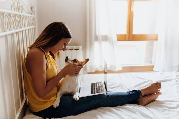 Beautiful woman sitting on the bed with the laptop and her dog Jack Russell terrier on her legs caressing him. Love concept. Stock Photo