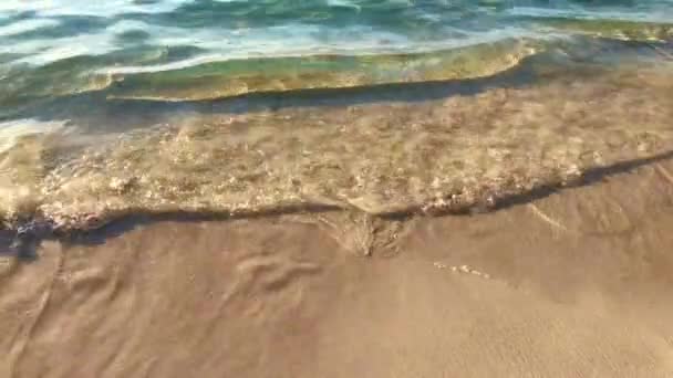 Κύματα Στην Παραλία Στο Ηλιοβασίλεμα — Αρχείο Βίντεο