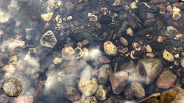 Rivierwater Verplaatsen Met Rotsen Rivier Vijver Schaatser — Stockvideo