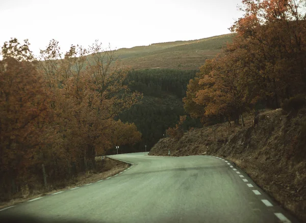 森の中の秋の道。木だ、葉っぱ旅行とコンセプトの探索. — ストック写真