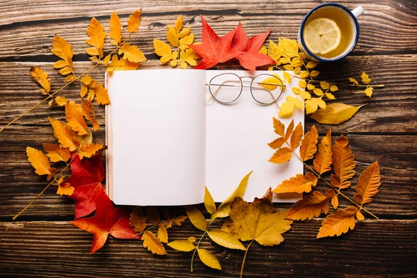女性的手写在子弹日志上空白笔记本页 女性圆形眼镜顶部舒适的空间 秋天橙色 黄色和红色的叶子在木制桌子上 创意写作概念 — 图库照片