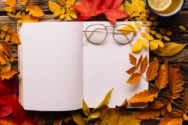 Mermi günlüğüne kadın el yazısı. Üzerinde kadın yuvarlak bardakları olan boş bir defter sayfası sonbahar portakalı, sarı ve kırmızı yapraklı ahşap bir masanın üstünde. Yaratıcı Yazı Kavramı.