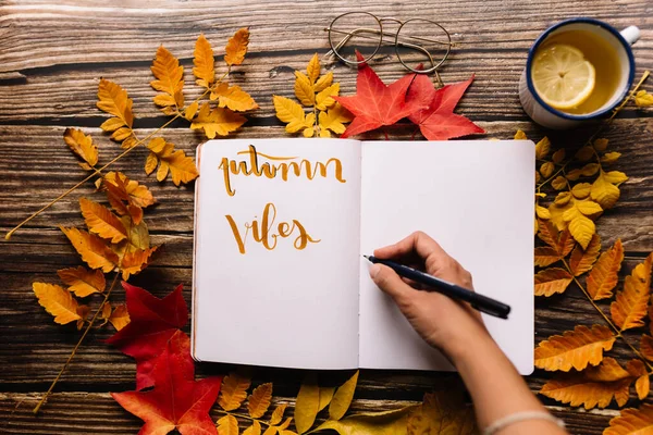 Female hand writing in a bullet journal. Blank notepad page in a cozy space with autumn orange, yellow and red leaves on a wooden table. Autumn vibes Concept.