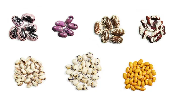 Bulgarian Beans Isolated White Background — Stock Photo, Image