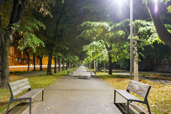 Gece Moyzesova Park Kosice Slovakya — Stok fotoğraf