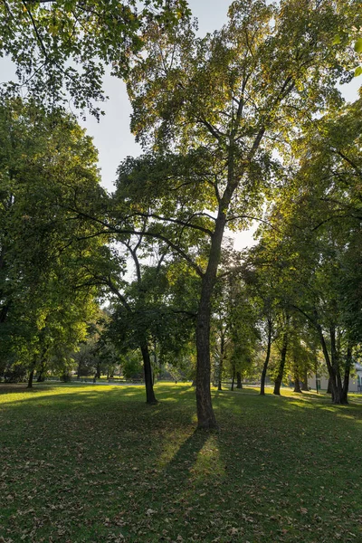 Mestsky Parco Della Città Nella Città Vecchia Kosice Slovacchia Kosice — Foto Stock