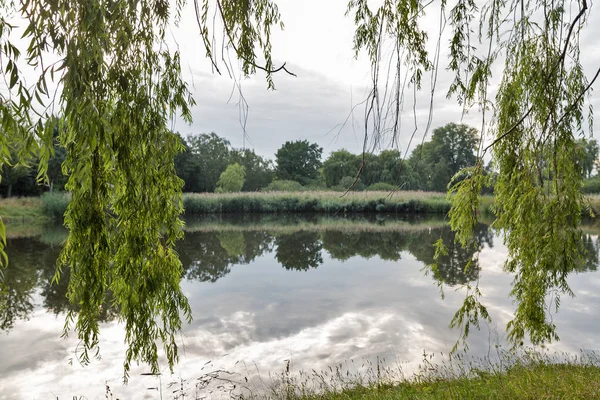 Seggeluchbecken Bahçe Park Göl Manzara Berlin Almanya — Stok fotoğraf