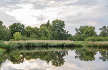 Seggeluchbecken park lake, Berlin, Almanya. su yansıma