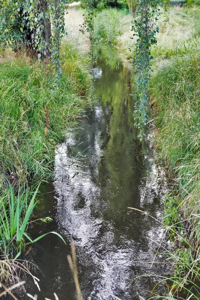 小さな森のストリームのある風景 上からの眺め — ストック写真