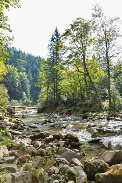 Horská Řeka Prutet Krajina Karpatech Západní Ukrajiny — Stock fotografie