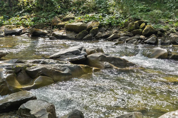 Horská Řeka Prutet Krajina Karpatech Západní Ukrajiny — Stock fotografie