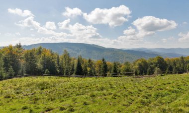 Dağ Vadisi manzara Karpatlar, Ukrayna.