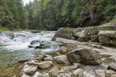 Şelale Chemigivsky dağ nehir Karpatlar, Batı Ukrayna Prutet peyzaj üzerinde.
