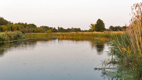 Ros Zonsondergang Zomer Rivierlandschap Centraal Oekraïne — Stockfoto