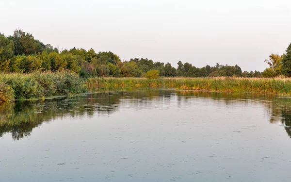 Río Ros Puesta Del Sol Paisaje Verano Ucrania Central —  Fotos de Stock