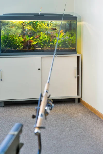 Crazy Fishing Home Aquarium — Stock Photo, Image