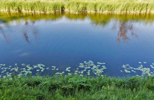 夏の川 Ros 農村風景 ウクライナ — ストック写真