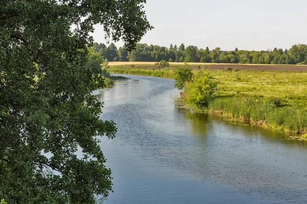 Летняя Река Рос Сельский Пейзаж Украина — стоковое фото
