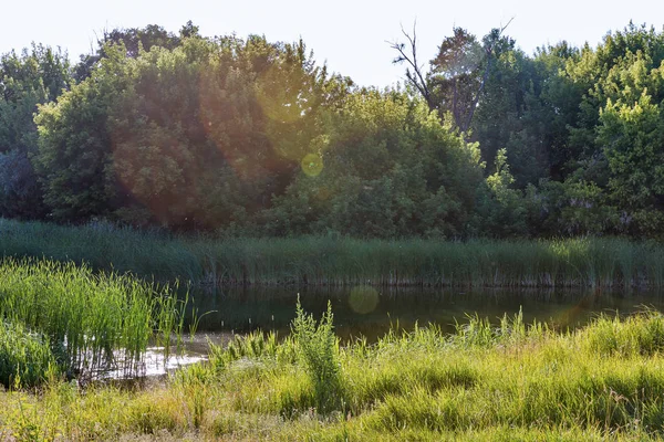 Río Ros paisaje de verano, Ucrania — Foto de Stock
