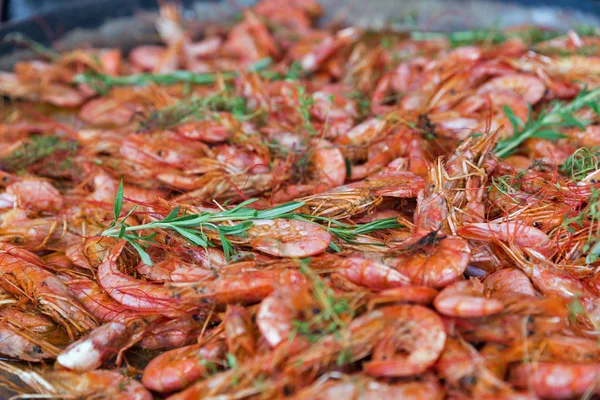 Cooked shrimps in shell background closeup — Stock Photo, Image