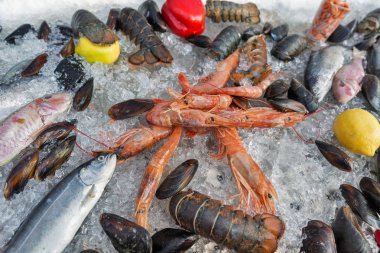 buz üstünde taze deniz ürünleri