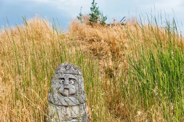 Ancient stone idol of Khortytsia island, Ukraine — Stock Photo, Image