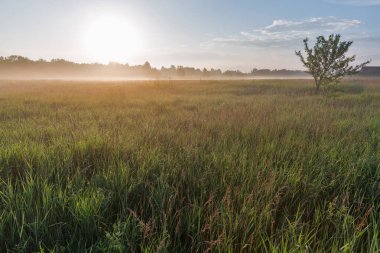 Ros nehri üzerinde pus ile Manzara, Ukrayna.