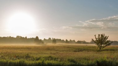 Ros nehri üzerinde pus ile Manzara, Ukrayna.