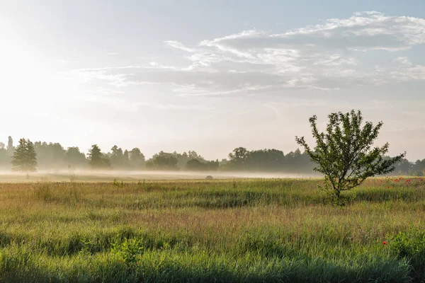 Paisaje con neblina sobre el río Ros, Ucrania . — Foto de Stock