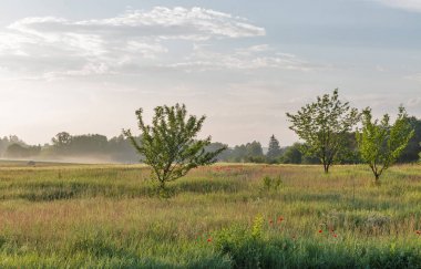 Ros nehri üzerinde pus ile Manzara, Ukrayna.
