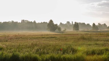 Ros nehri üzerinde pus ile Manzara, Ukrayna.