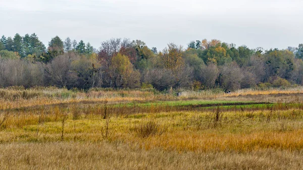 Ros Fluss Herbstlandschaft, Ukraine. — Stockfoto