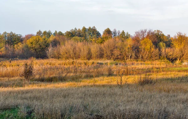 Ros River herfst landschap, Oekraïne. — Stockfoto