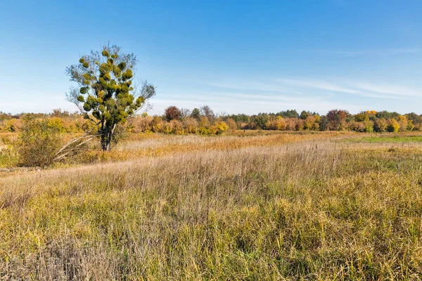 Údolí řeky ROS podzimní krajina při západu slunce, Ukrajina. — Stock fotografie