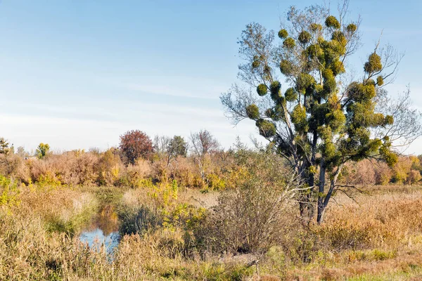 Ros River Valley herfst landschap bij zonsondergang, Oekraïne. — Stockfoto