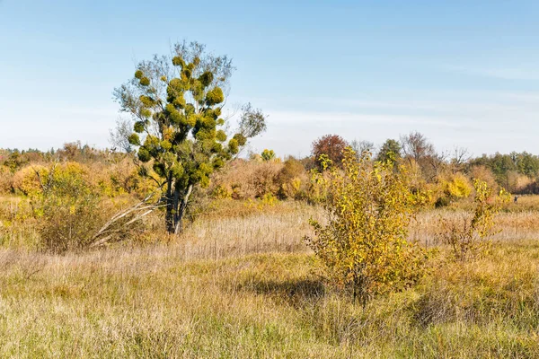 Ros River Valley herfst landschap bij zonsondergang, Oekraïne. — Stockfoto