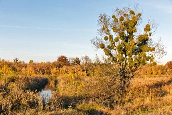 Gün batımında Ros nehri vadisi sonbahar manzara, Ukrayna. — Stok fotoğraf